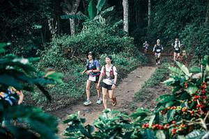 BIB: 
                            <button type="button" onclick="openModal(25793589)" class="btn btn-primary btn-sm float-right btn-popup" data-toggle="modal" data-target=".modal-high-quality">
                        <i class="fas fa-shopping-cart"></i> Add to Cart
                    </button>
                                            <button type="button" onclick="isThisMe(25793589, true)" class="btn btn-success btn-sm float-right btn-popup btn-isme hidden" data-toggle="tooltip" data-placement="bottom" title="นี่คือรูปของคุณใช่ไหม คลิกที่นี่เพื่อเอาเข้าอัลบั้ม">
                        <i class="fas fa-plus"></i> Add to album
                    </button>
                    <button type="button" onclick="isThisMe(25793589, false)" class="btn btn-warning btn-sm float-right btn-popup btn-isnotme hidden">
                        <i class="fas fa-ban"></i> Remove from album
                    </button>